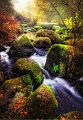 paysage 20_11_11n02bis2